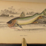 1843 FISH 1ed Jardine FISHING Piranha Salmon Dorsa Ichthyology Africa Guiana ART