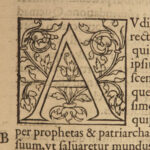 1551 1ed Denis the Carthusian BIBLE & Commentary New Testament Saint Paul FOLIO