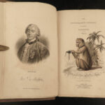 1833 1ed MONKEY Evolution Primate Chimpanzee Orangutan Color Illustrated Jardine