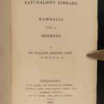 1833 1ed MONKEY Evolution Primate Chimpanzee Orangutan Color Illustrated Jardine