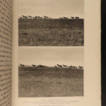 1910 1st ed Theodore Roosevelt African Game Trails Illustrated HUNTING Sporting