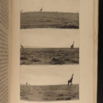 1910 1st ed Theodore Roosevelt African Game Trails Illustrated HUNTING Sporting