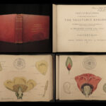 1874 1ed Illustrations Vegetable Kingdom Botany 109 Botanical Flower Color ART!