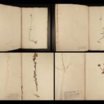 1806 1ed George Don British Plants DRIED LEAVES Botany Herbarium Britannicum