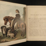 1880 DOGS 1ed Sir Edwin Landseer ART Painting Horses Animals Bunnies Deer Folio