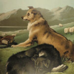 1880 DOGS 1ed Sir Edwin Landseer ART Painting Horses Animals Bunnies Deer Folio