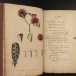 1799 BEAUTY Carl Linneaus System of Vegetables BOTANY Color Botanical ART Martyn