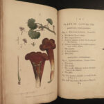 1799 BEAUTY Carl Linneaus System of Vegetables BOTANY Color Botanical ART Martyn