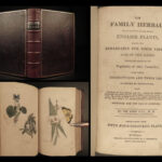 1810 Herbal Medicine John Hill Family Botany Drugs Distillation Brewing Pharmacy