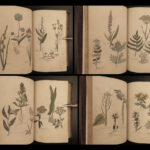 1810 Herbal Medicine John Hill Family Botany Drugs Distillation Brewing Pharmacy