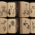 1810 Herbal Medicine John Hill Family Botany Drugs Distillation Brewing Pharmacy