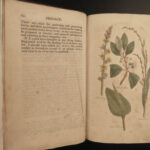 1810 Herbal Medicine John Hill Family Botany Drugs Distillation Brewing Pharmacy