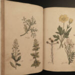 1810 Herbal Medicine John Hill Family Botany Drugs Distillation Brewing Pharmacy