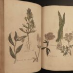 1810 Herbal Medicine John Hill Family Botany Drugs Distillation Brewing Pharmacy