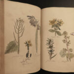 1810 Herbal Medicine John Hill Family Botany Drugs Distillation Brewing Pharmacy