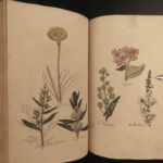 1810 Herbal Medicine John Hill Family Botany Drugs Distillation Brewing Pharmacy