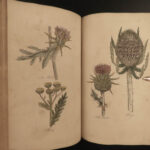 1810 Herbal Medicine John Hill Family Botany Drugs Distillation Brewing Pharmacy