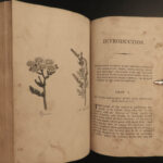 1810 Herbal Medicine John Hill Family Botany Drugs Distillation Brewing Pharmacy