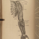 1870 Henry Gray GRAY’S ANATOMY Human Surgery Illustrated Medicine Physician