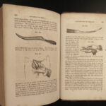 1855 Homeopathy SURGERY Pseudoscience Alternative Medicine Herbal Cures Cancer