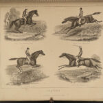1874 1ed EQUESTRIAN Farriery Veterinary Medicine Horses Animal Cattle Pigs Miles