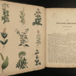 1843 Family Physician Nicholas Culpeper Complete HERBAL Medicine for Poor Cures