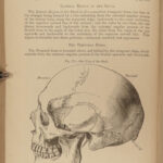 1883 Henry GRAY’S ANATOMY Human Surgery Illustrated Medicine Physician Pick ed