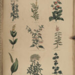 1850 Family Physician Nicholas Culpeper Complete HERBAL Medicine for Poor Cures