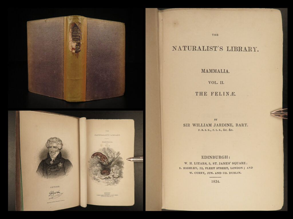 1844 cats lions jaguars tigers bobcats illustrated jardine naturalist mammalia | sir william jardine was a 19<sup>th</sup>-century scottish naturalist most known for his extensive series of books on natural history, ‘<em>the naturalist’s library’. </em> <em> </em> this edition of jardine’s ‘<em>mammalia’</em> is beautifully illustrated with engravings of various species of cats! The plates from jardine’s works are exceedingly desirable and are found framed and displayed by themselves. This volume showcases illustrations and descriptions of big cats! – leopards, lions, tigers, jaguar, caracal, bobcats, and many more!