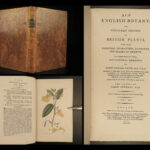 1802 1ed English Botany Plants Sowerby Flowers Illustrated Goutweed Bugloss RARE