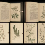 1802 1ed English Botany Plants Sowerby Flowers Illustrated Goutweed Bugloss RARE