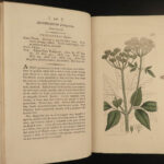 1802 1ed English Botany Plants Sowerby Flowers Illustrated Goutweed Bugloss RARE