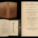 1802 1ed English Botany Plants Sowerby Flowers Meadow Grass Soapwort Illustrated