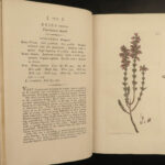 1802 1ed English Botany Plants Sowerby Flowers Meadow Grass Soapwort Illustrated