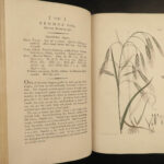 1802 1ed English Botany Plants Sowerby Flowers Meadow Grass Soapwort Illustrated
