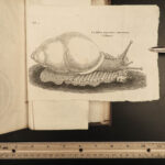 1698 Natural History 1ed Martin Lister Journey to Paris Animals Science Voyages
