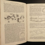 1825 Encyclopedia of Gardening Loudon Botany Horticulture Floriculture Gardens