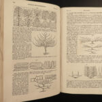 1825 Encyclopedia of Gardening Loudon Botany Horticulture Floriculture Gardens