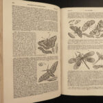 1825 Encyclopedia of Gardening Loudon Botany Horticulture Floriculture Gardens
