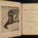 1878 1ed American Stock Farrier Horse Cattle Swine Sheep Equestrian Veterinary