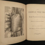 1878 1ed American Stock Farrier Horse Cattle Swine Sheep Equestrian Veterinary