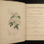 1863 English Botany British Plants Sowerby Botanical ART Cruciferae Flowers