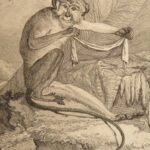 1788 MONKEYS Buffon Natural SCIENCE Illustrated Mandrill Orangutans Apes Primate