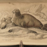 1845 Jardine Naturalist Marine Ocean Walrus Seal Manatee SEA MONSTERS Kraken