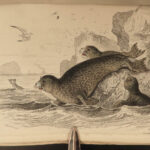 1845 Jardine Naturalist Marine Ocean Walrus Seal Manatee SEA MONSTERS Kraken