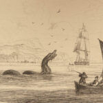 1845 Jardine Naturalist Marine Ocean Walrus Seal Manatee SEA MONSTERS Kraken