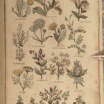 1810 HERBAL Alchemy Medicine Occult Parkins English Physician Nicholas Culpeper