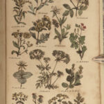 1810 HERBAL Alchemy Medicine Occult Parkins English Physician Nicholas Culpeper