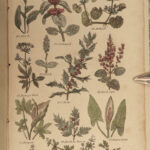 1810 HERBAL Alchemy Medicine Occult Parkins English Physician Nicholas Culpeper