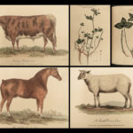 1805 1ed Agriculture FARMING Illustrated Husbandry Cows Cattle Sheep Horses 2v
